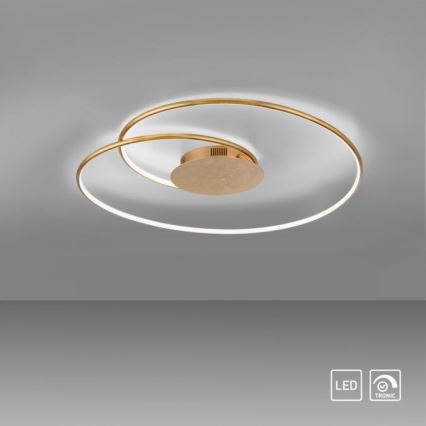 Paul Neuhaus 6189-12 - LED Prigušiva stropna svjetiljka NASTRO LED/26W/230V