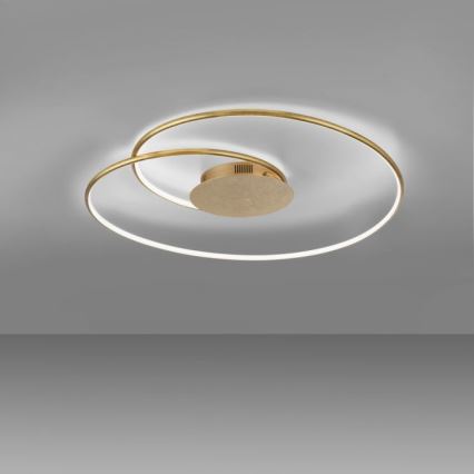 Paul Neuhaus 6189-12 - LED Prigušiva stropna svjetiljka NASTRO LED/26W/230V