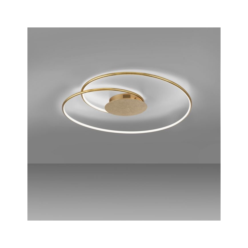 Paul Neuhaus 6189-12 - LED Prigušiva stropna svjetiljka NASTRO LED/26W/230V