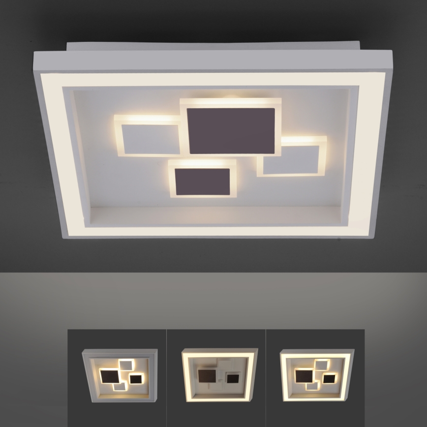 Paul Neuhaus 6283-16 - LED Prigušiva stropna svjetiljka ELIZA LED/30W/230V + LED/18,5W
