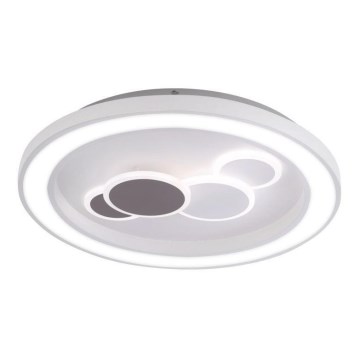 Paul Neuhaus 6284-16 - LED Stropna svjetiljka ELIZA LED/55,5W/230V pr. 60 cm