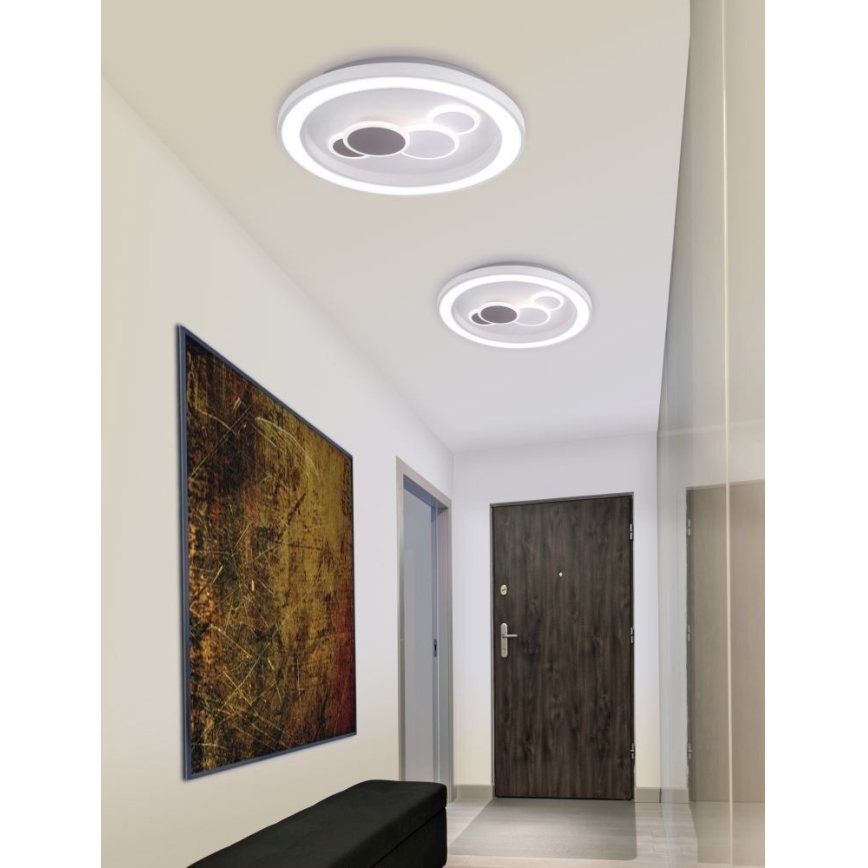 Paul Neuhaus 6284-16 - LED Stropna svjetiljka ELIZA LED/55,5W/230V pr. 60 cm