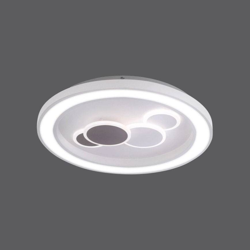 Paul Neuhaus 6284-16 - LED Stropna svjetiljka ELIZA LED/55,5W/230V pr. 60 cm