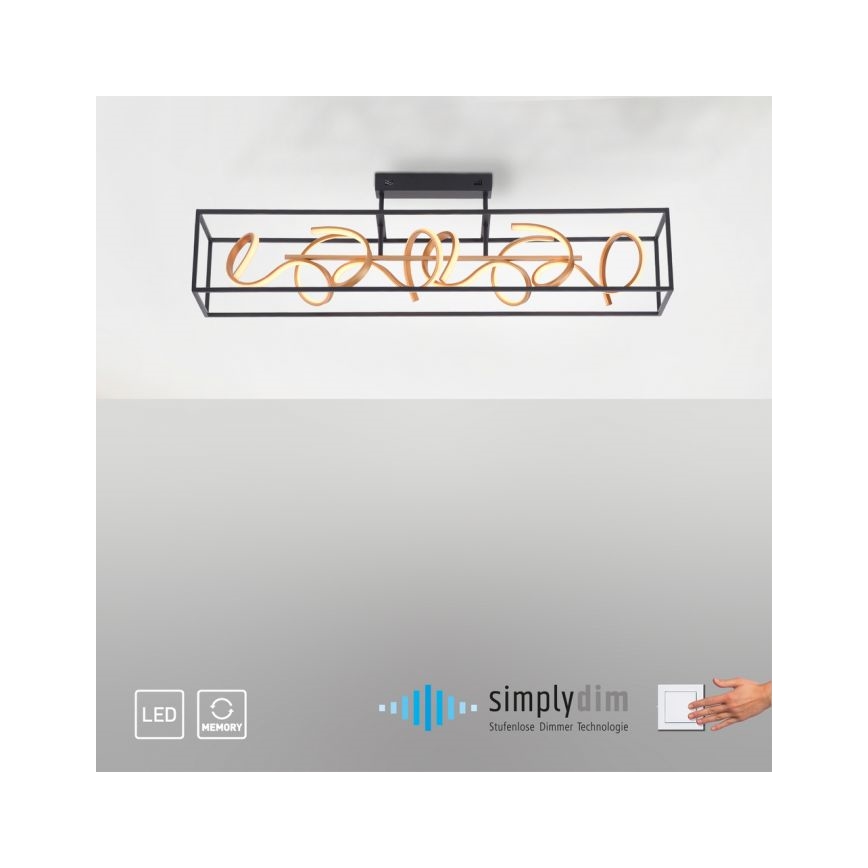 Paul Neuhaus 6473-18 - LED Prigušivi viseći luster SELINA 4xLED/10,2W/230V
