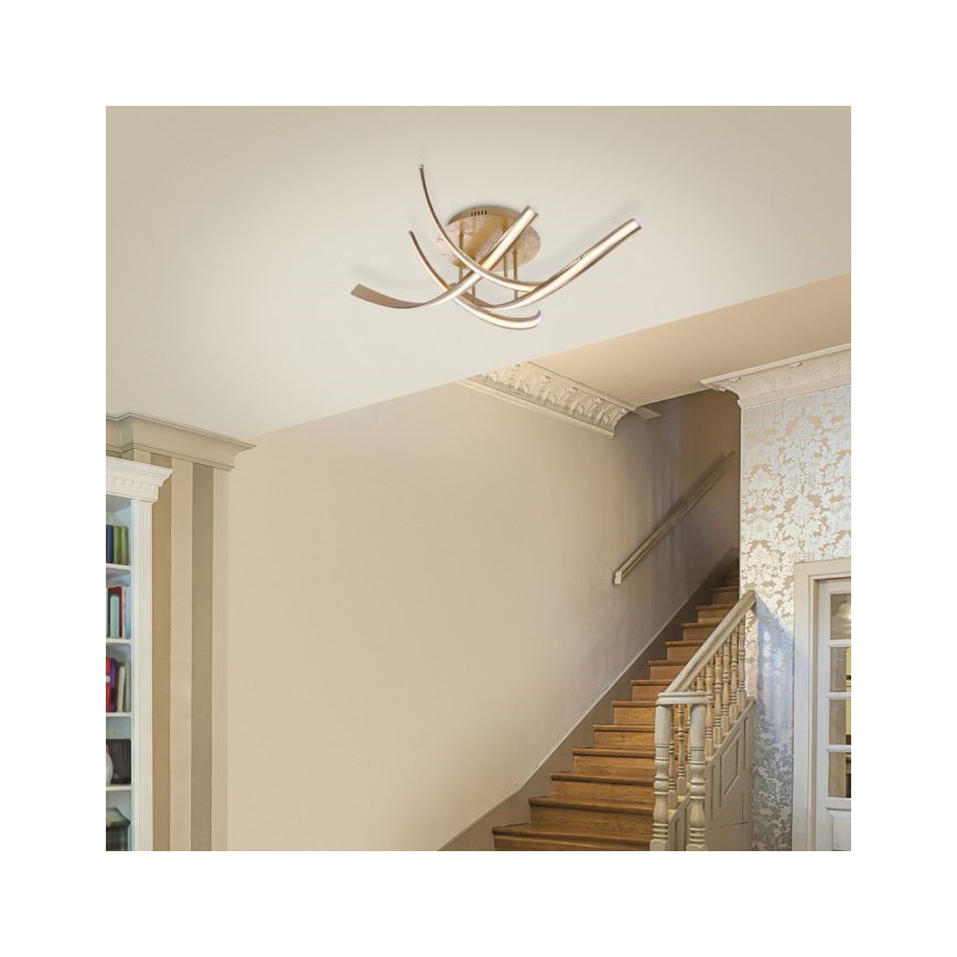 Paul Neuhaus 6474-12 - LED Prigušivi nadgradni luster LINDA 4xLED/7W/230V
