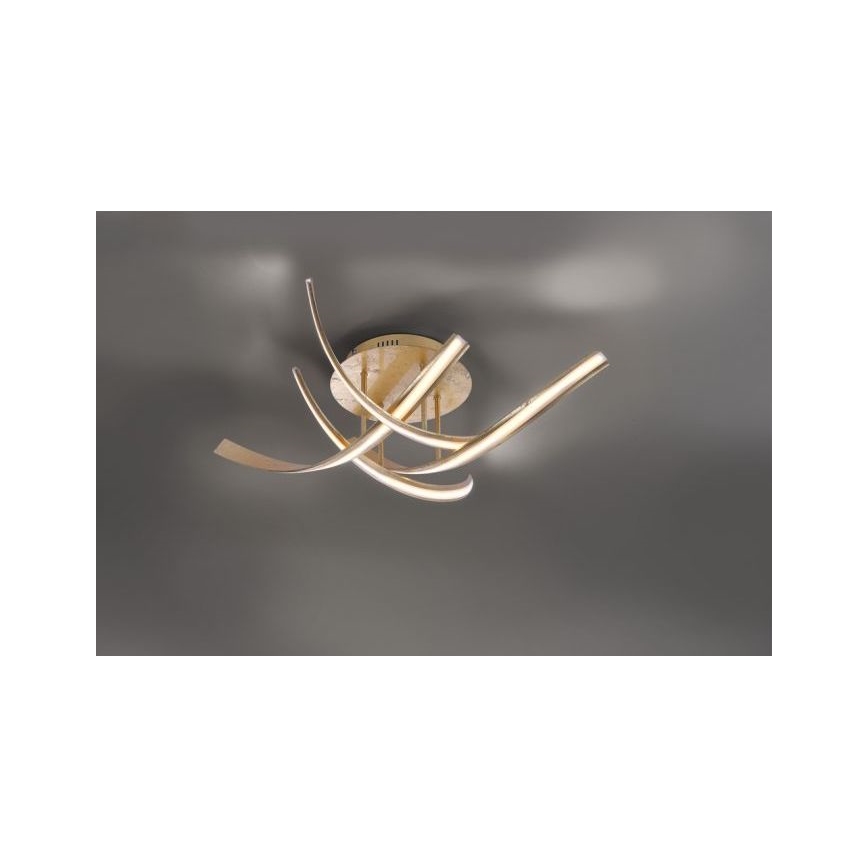 Paul Neuhaus 6474-12 - LED Prigušivi nadgradni luster LINDA 4xLED/7W/230V