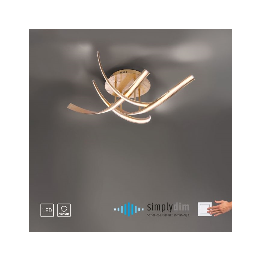 Paul Neuhaus 6474-12 - LED Prigušivi nadgradni luster LINDA 4xLED/7W/230V