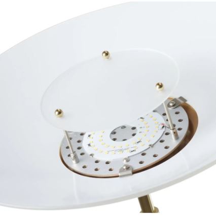 Paul Neuhaus 655-60 - LED stajaća lampa ALFRED s mogućnošću prigušivanja LED/28W/230V+LED/4W/230V mesing
