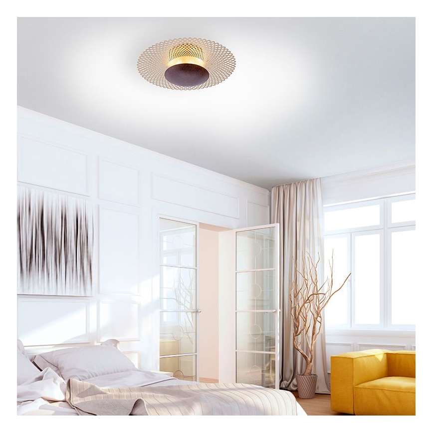 Paul Neuhaus 6551-48 - LED Prigušiva stropna svjetiljka NEVIS LED/18W/230V