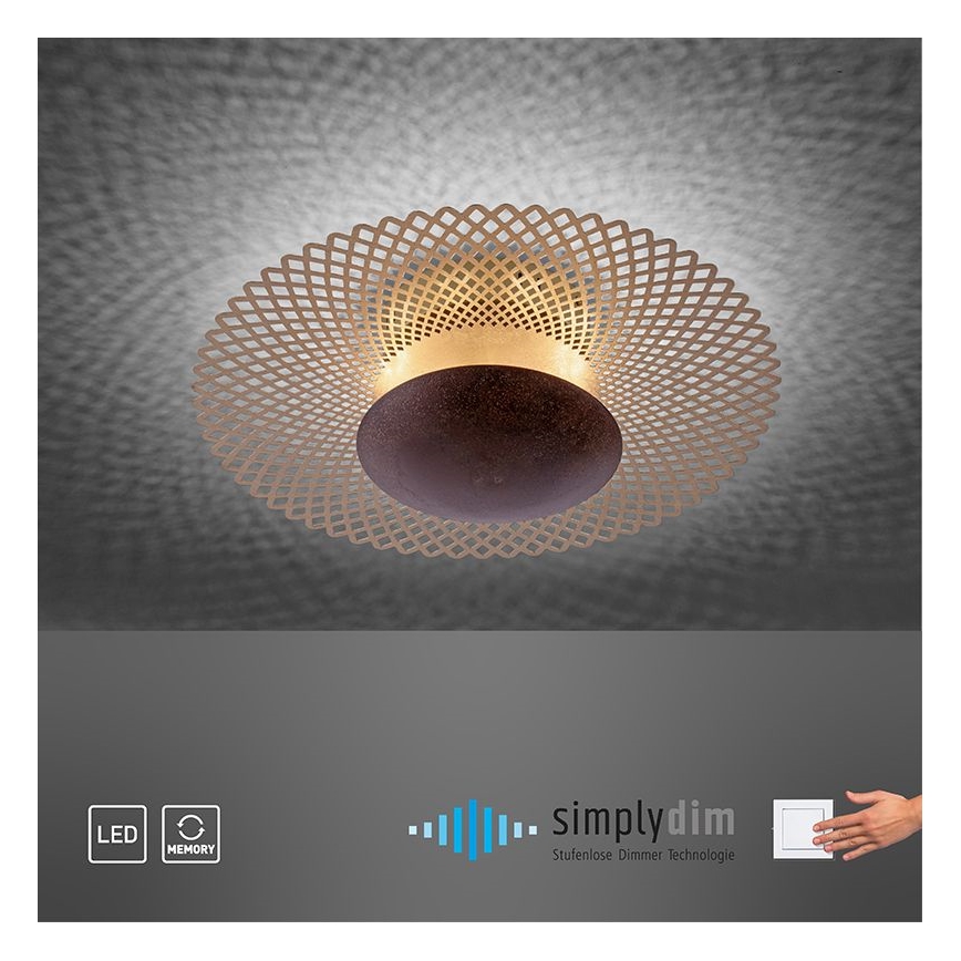 Paul Neuhaus 6551-48 - LED Prigušiva stropna svjetiljka NEVIS LED/18W/230V