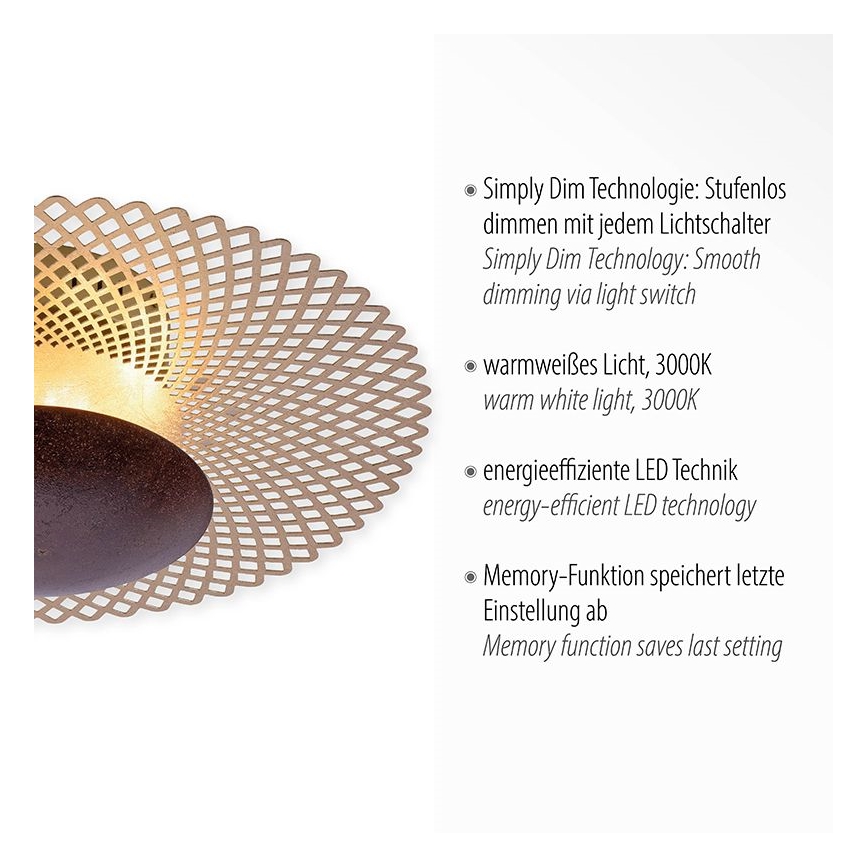 Paul Neuhaus 6551-48 - LED Prigušiva stropna svjetiljka NEVIS LED/18W/230V
