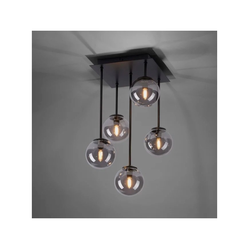 Paul Neuhaus 6719-18 - LED Viseći luster WIDOW 5xG9/3W/230V