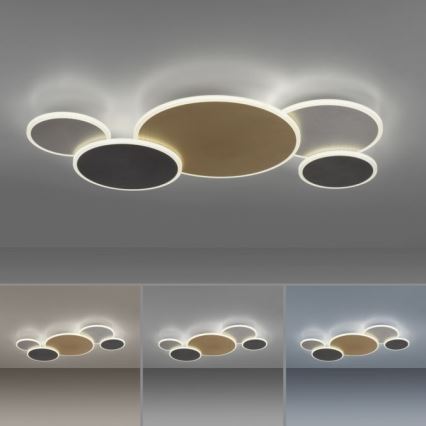 Paul Neuhaus 8008-70 - LED Prigušiva stropna svjetiljka Q-PIATO LED/49W/230V 2700-5000K Wi-Fi + daljinski upravljač