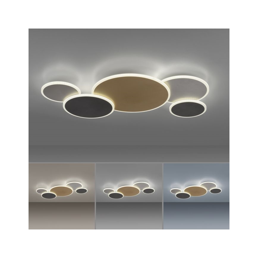 Paul Neuhaus 8008-70 - LED Prigušiva stropna svjetiljka Q-PIATO LED/49W/230V 2700-5000K Wi-Fi + daljinski upravljač
