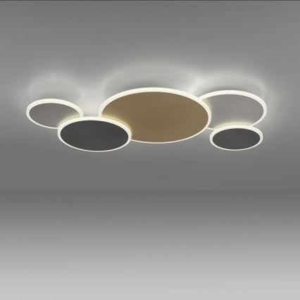 Paul Neuhaus 8008-70 - LED Prigušiva stropna svjetiljka Q-PIATO LED/49W/230V 2700-5000K Wi-Fi + daljinski upravljač