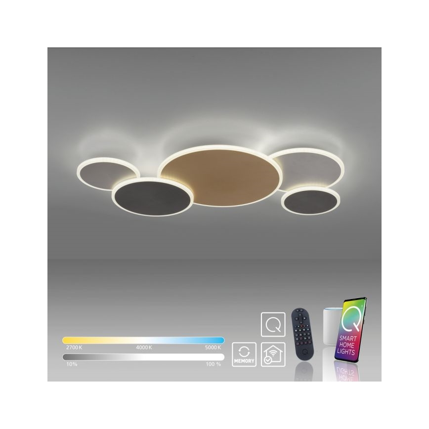 Paul Neuhaus 8008-70 - LED stropna svjetiljka s prigušivanjem Q-PIATO LED/49W/230V 2700-5000K Wi-Fi + daljinski upravljač