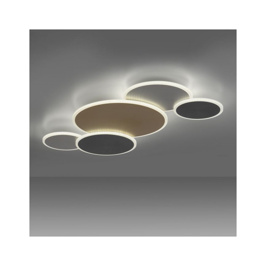 Paul Neuhaus 8008-70 - LED stropna svjetiljka s prigušivanjem Q-PIATO LED/49W/230V 2700-5000K Wi-Fi + daljinski upravljač