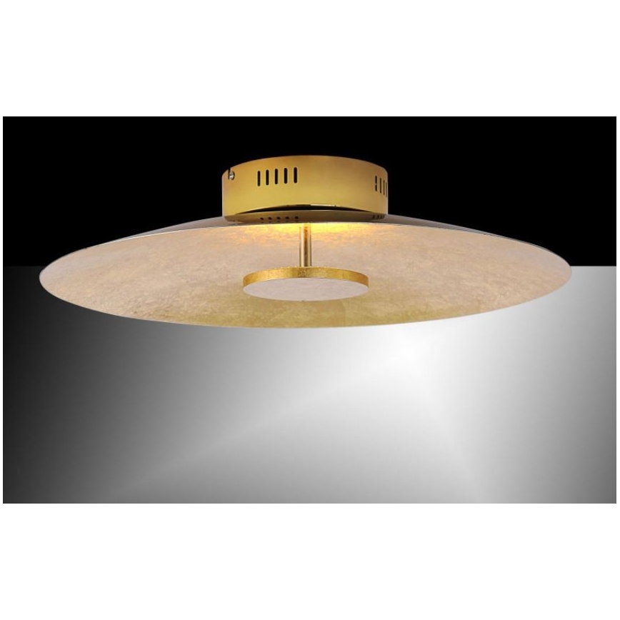 Paul Neuhaus 8132-12 - LED Prigušiva stropna svjetiljka PLATE LED/25W/230V
