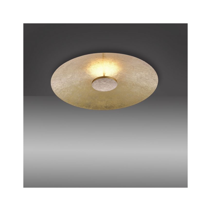 Paul Neuhaus 8132-12 - LED Prigušiva stropna svjetiljka PLATE LED/25W/230V
