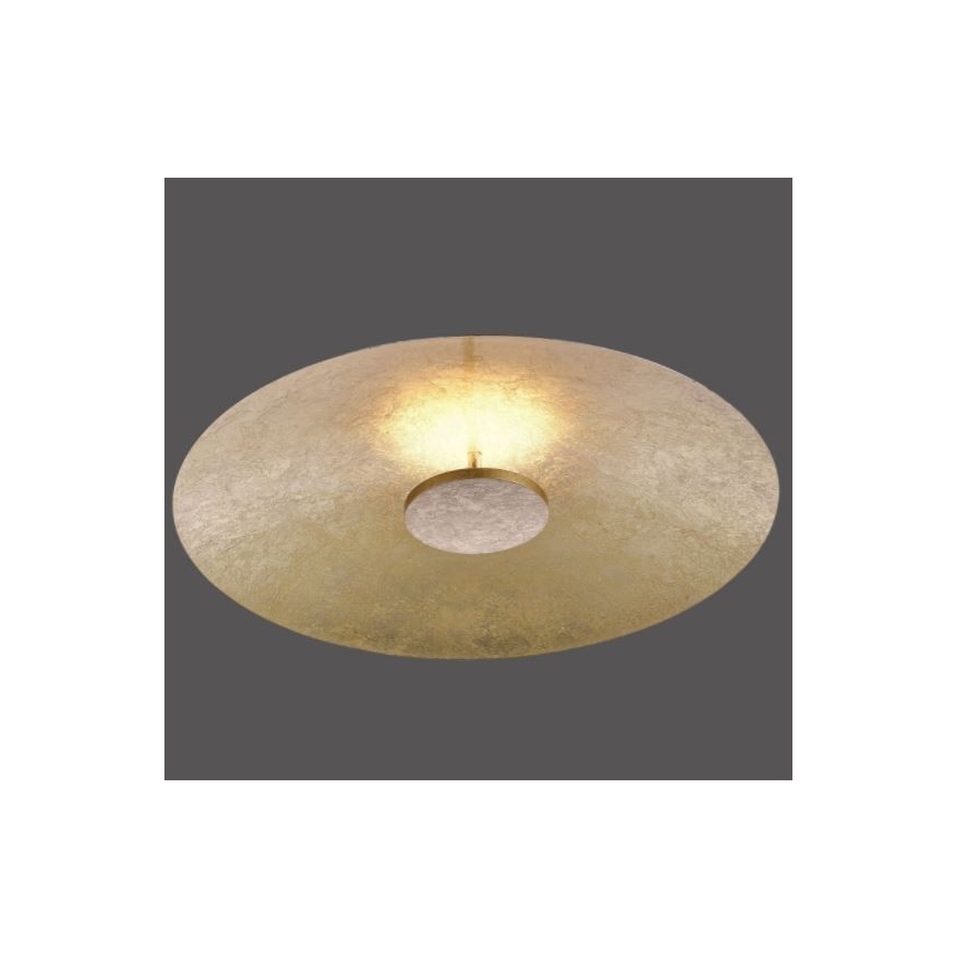 Paul Neuhaus 8132-12 - LED Prigušiva stropna svjetiljka PLATE LED/25W/230V