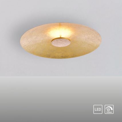 Paul Neuhaus 8132-12 - LED Prigušiva stropna svjetiljka PLATE LED/25W/230V