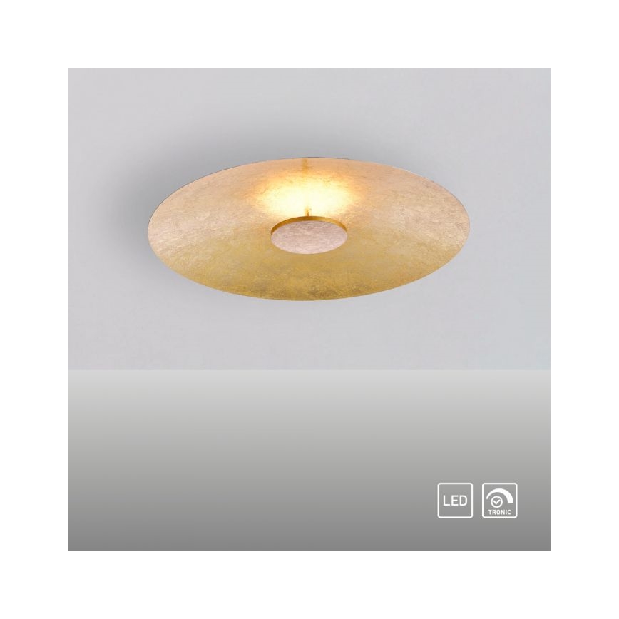 Paul Neuhaus 8132-12 - LED Prigušiva stropna svjetiljka PLATE LED/25W/230V