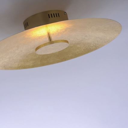 Paul Neuhaus 8132-12 - LED Prigušiva stropna svjetiljka PLATE LED/25W/230V