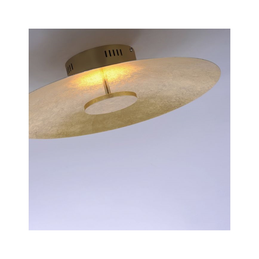 Paul Neuhaus 8132-12 - LED Prigušiva stropna svjetiljka PLATE LED/25W/230V