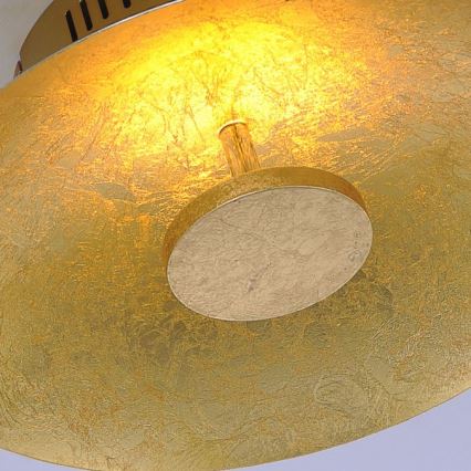 Paul Neuhaus 8132-12 - LED Prigušiva stropna svjetiljka PLATE LED/25W/230V