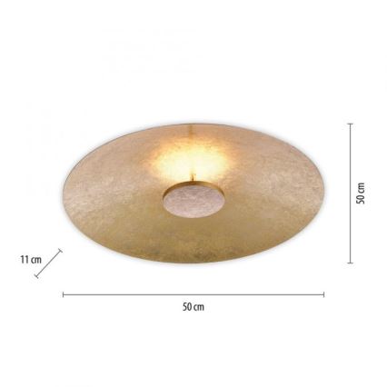 Paul Neuhaus 8132-12 - LED Prigušiva stropna svjetiljka PLATE LED/25W/230V