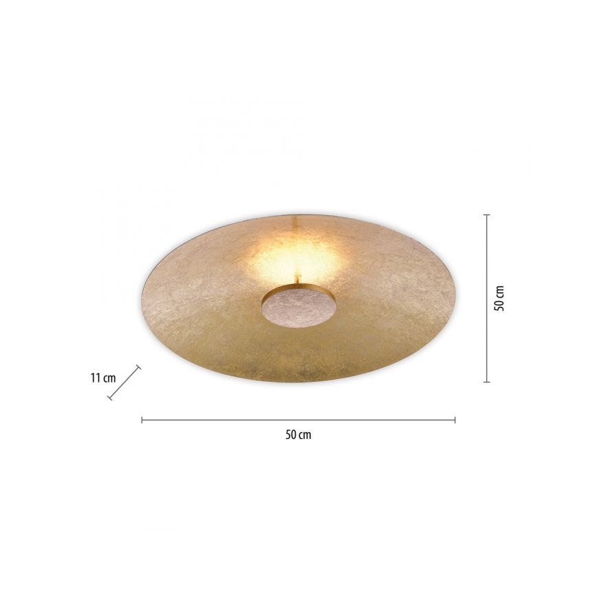 Paul Neuhaus 8132-12 - LED Prigušiva stropna svjetiljka PLATE LED/25W/230V