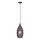 Paul Neuhaus 8267-25 - Luster na sajli SCARLETT 1xE27/60W/230V pr. 19 cm crna