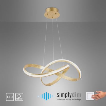 Paul Neuhaus 8291-12 - LED Prigušivi luster na sajli MELINDA LED/30W/230V