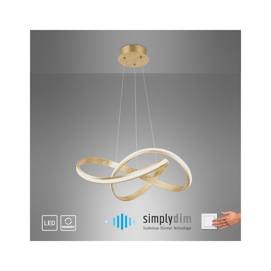 Paul Neuhaus 8291-12 - LED Prigušivi luster na sajli MELINDA LED/30W/230V
