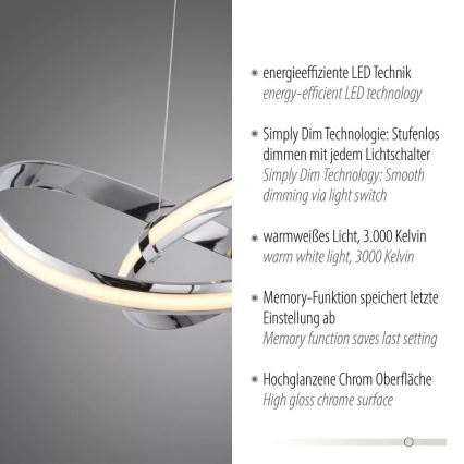 Paul Neuhaus 8291-17 - LED prigušivač luster na užetu MELINDA LED/30W/230V