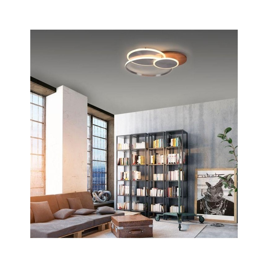 Paul Neuhaus 8328-79 - LED Prigušiva stropna svjetiljka PALMA LED/50W/230V 2700-5000K bor + daljinski upravljač