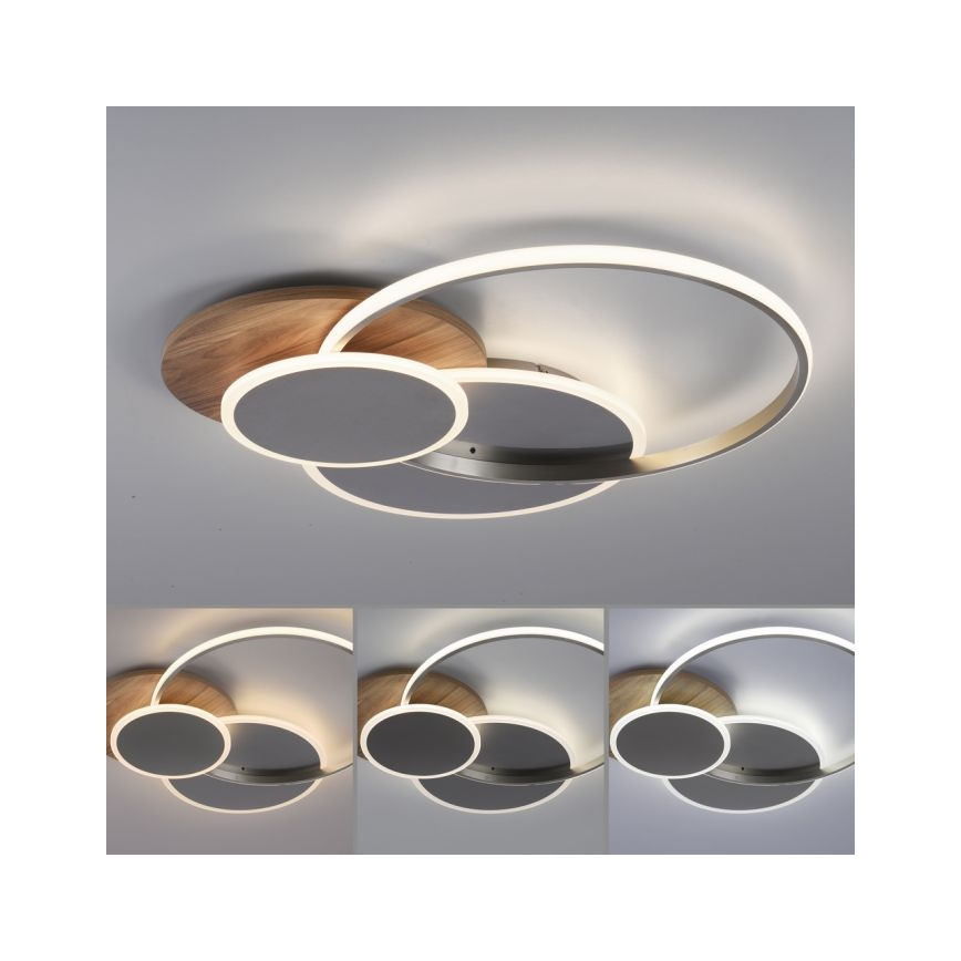 Paul Neuhaus 8328-79 - LED Prigušiva stropna svjetiljka PALMA LED/50W/230V 2700-5000K bor + daljinski upravljač