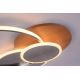 Paul Neuhaus 8328-79 - LED Prigušiva stropna svjetiljka PALMA LED/50W/230V 2700-5000K bor + daljinski upravljač