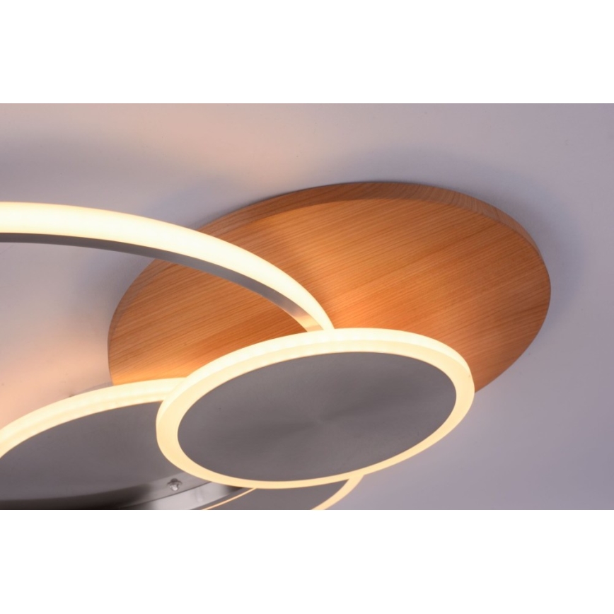 Paul Neuhaus 8328-79 - LED Prigušiva stropna svjetiljka PALMA LED/50W/230V 2700-5000K bor + daljinski upravljač