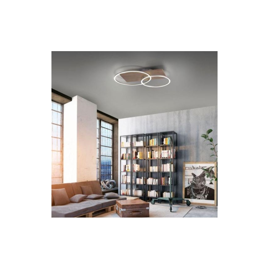 Paul Neuhaus 8329-79 - LED Prigušivi nadgradni luster PALMA LED/26W/230V 2700-5000K bor + daljinski upravljač