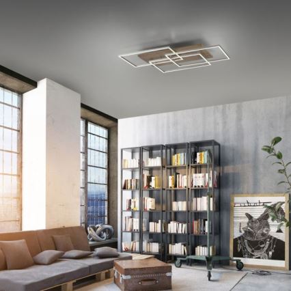 Paul Neuhaus 8330-79 - LED Prigušivi nadgradni luster PALMA 3xLED/12W/230V bor + daljinski upravljač