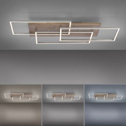 Paul Neuhaus 8330-79 - LED Prigušivi nadgradni luster PALMA 3xLED/12W/230V bor + daljinski upravljač