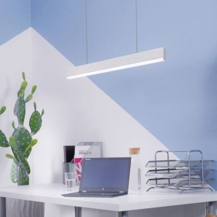 Paul Neuhaus 8363-55 - LED Prigušivi luster na sajli ARINA LED/20W/230V