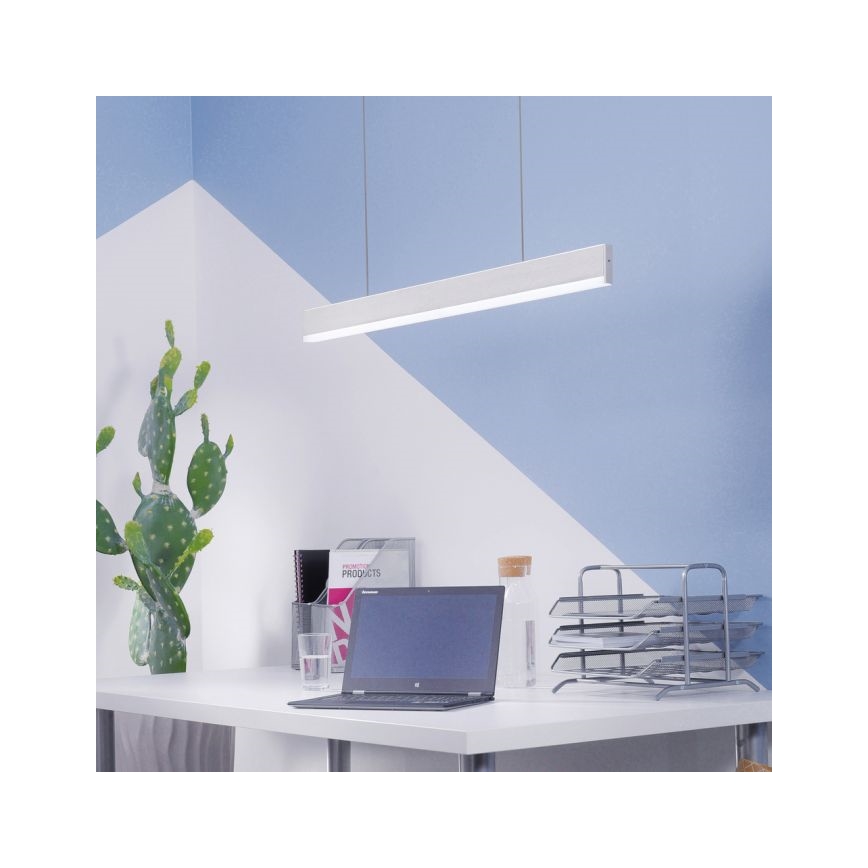 Paul Neuhaus 8363-55 - LED Prigušivi luster na sajli ARINA LED/20W/230V