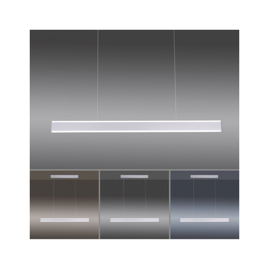 Paul Neuhaus 8363-55 - LED Prigušivi luster na sajli ARINA LED/20W/230V