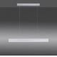 Paul Neuhaus 8363-55 - LED Prigušivi luster na sajli ARINA LED/20W/230V