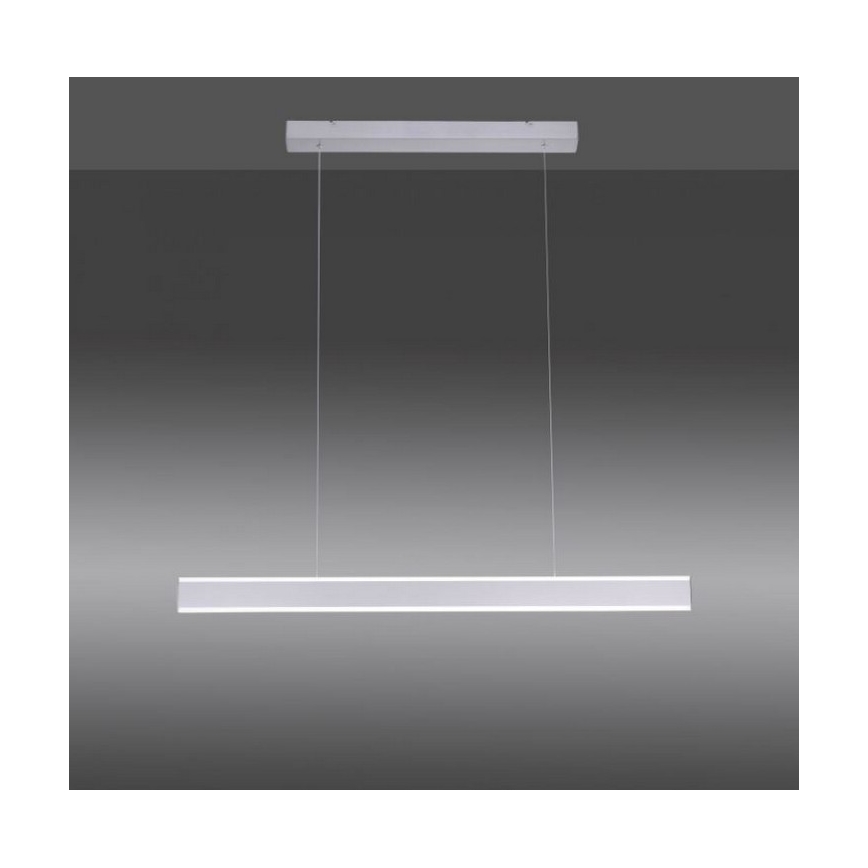 Paul Neuhaus 8363-55 - LED Prigušivi luster na sajli ARINA LED/20W/230V