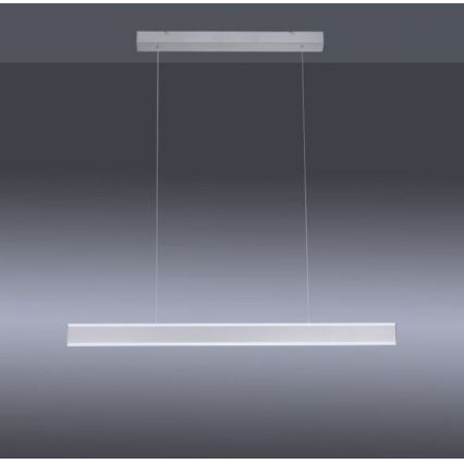 Paul Neuhaus 8363-55 - LED Prigušivi luster na sajli ARINA LED/20W/230V