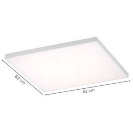 Paul Neuhaus 8492-16 - LED Prigušivi ugradbeni panel FRAMELESS LED/35W/230V + daljinski upravljač