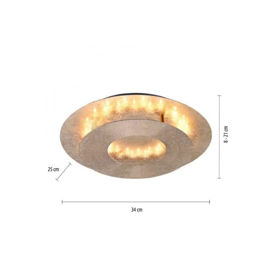 Paul Neuhaus 9011-12 - LED Stropna svjetiljka NEVIS LED/6W/230V zlatna